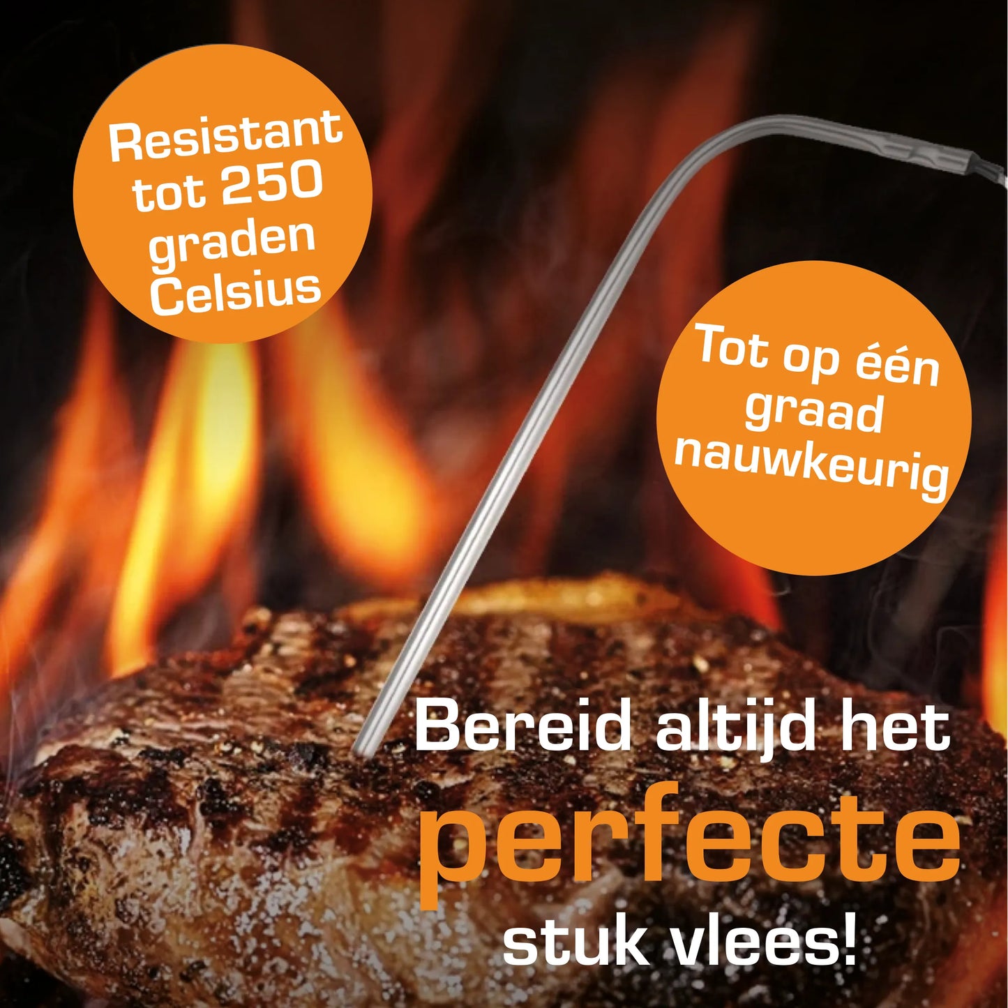 Master Knives Digitale BBQ Thermometer Met 2 Meetsondes