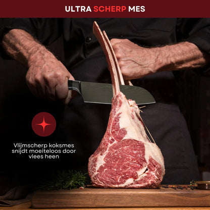 Master Knives 10 Delige Professionele Koksmessen set